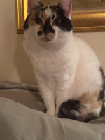 /album/265/whatsapp-image-2026-03-25-at-19-49-28-1-jpeg/